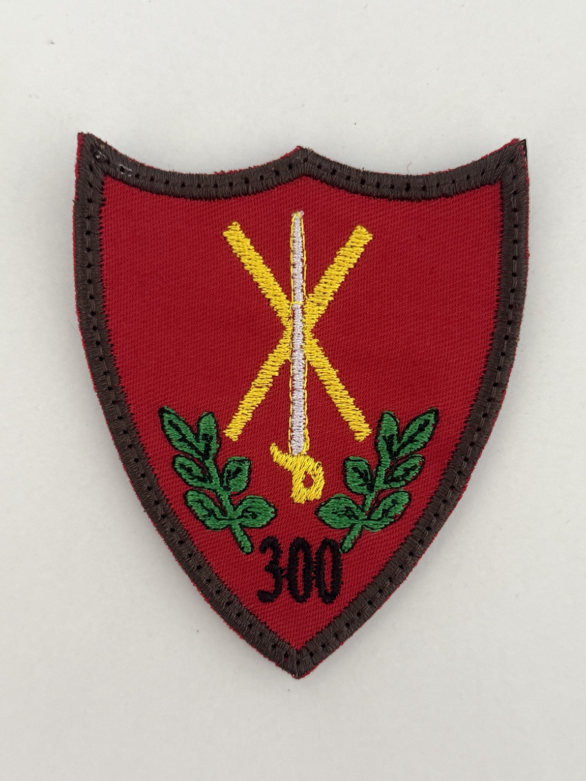 Batalionul 300 Infanterie Mecanizată „Sfântul Andrei” — Varianta 2